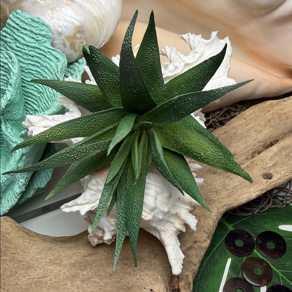 Large White Branch Murex Seashell Coastal Beach Ocean Nautical Decor DIY planter - Picture 7 of 11